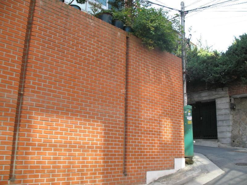 사진 241