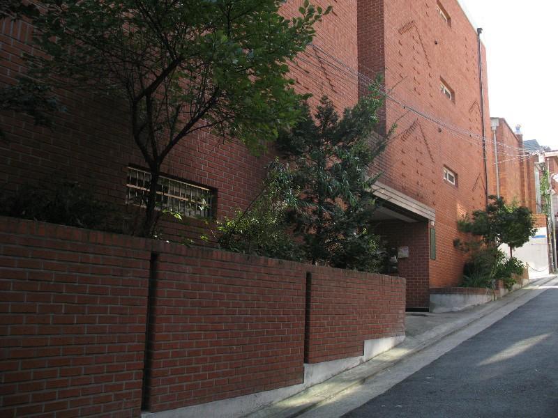 사진 244