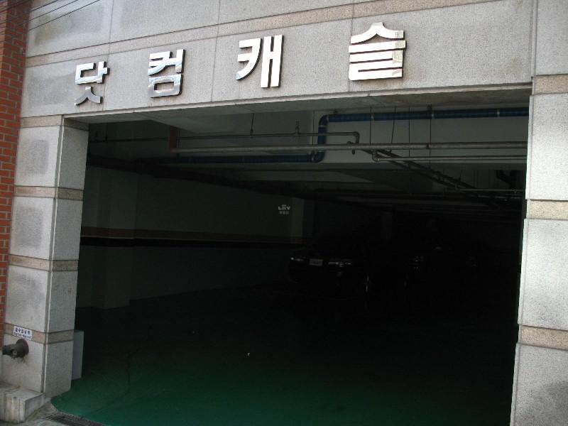 사진 239