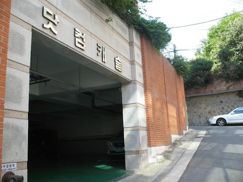 사진 243