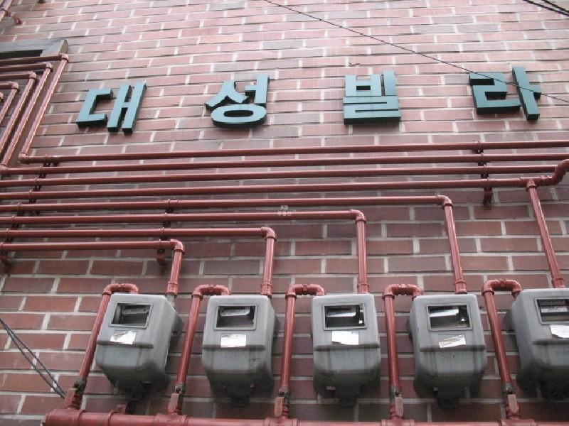사진 493