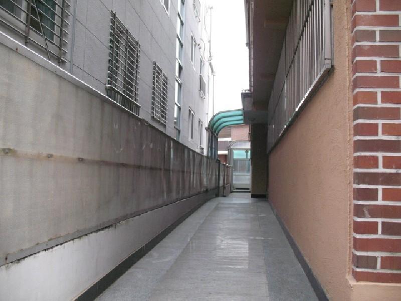 사진 494