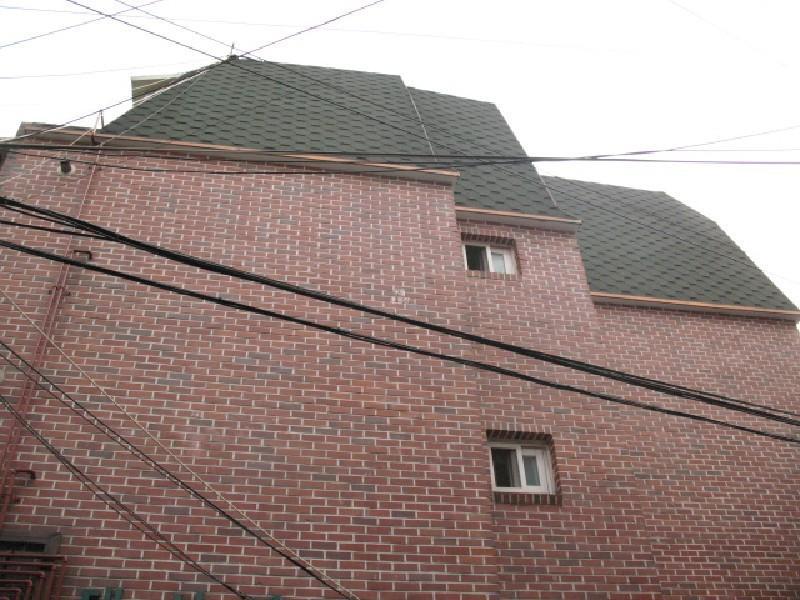 사진 495