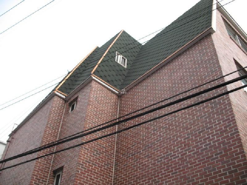 사진 497