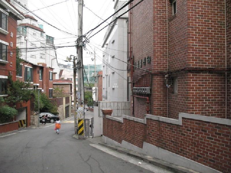 사진 498