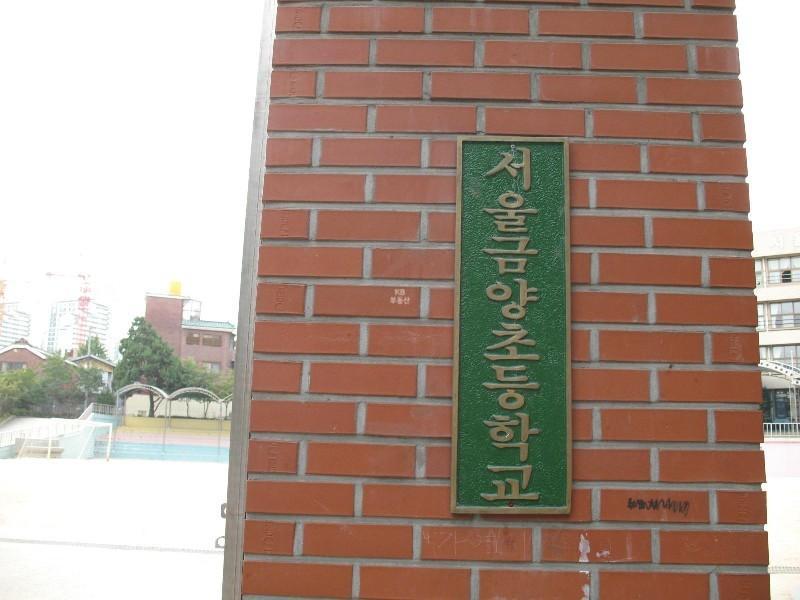 사진 457