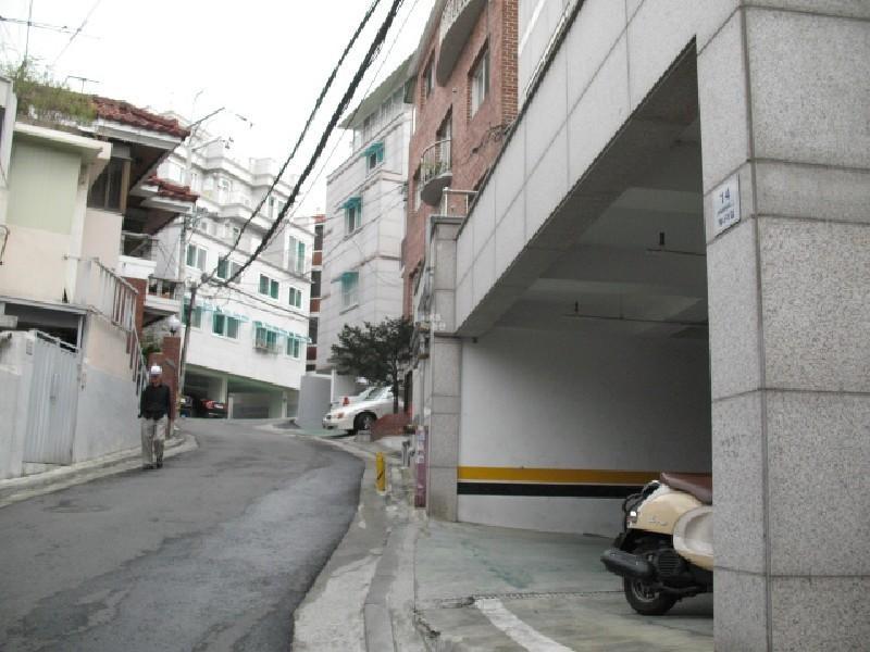 사진 162