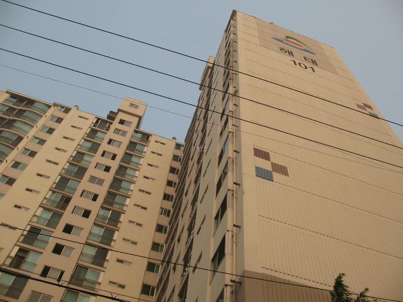 사진 943