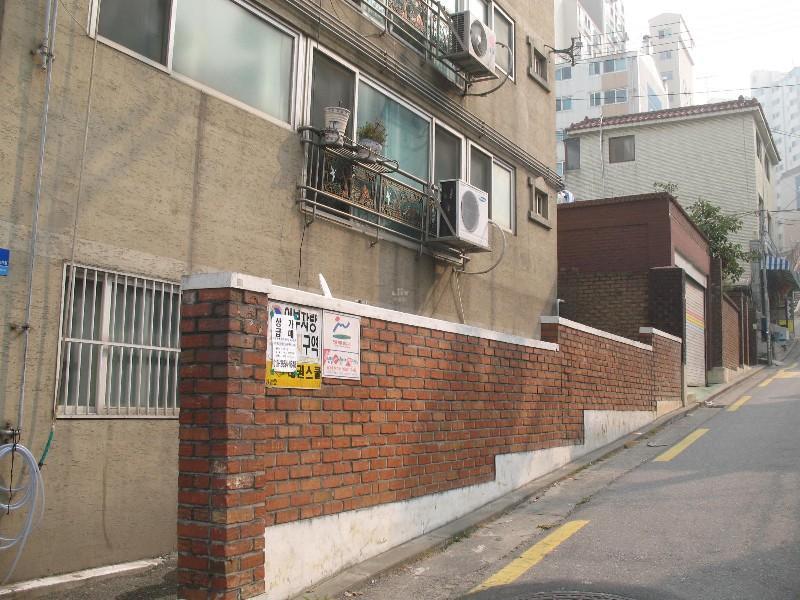 사진 354