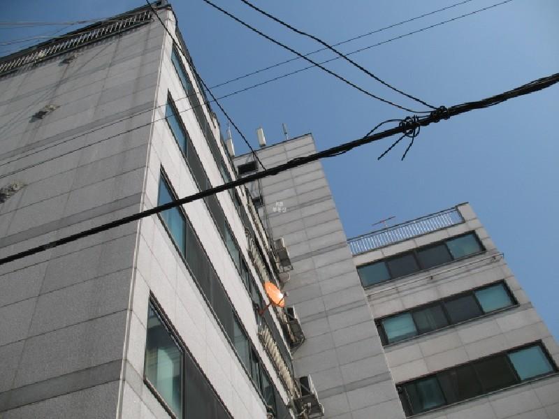 사진 435