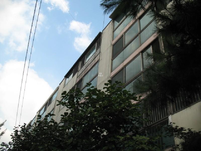 사진 342