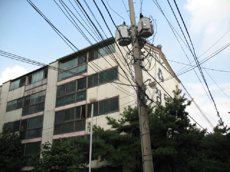 사진 347