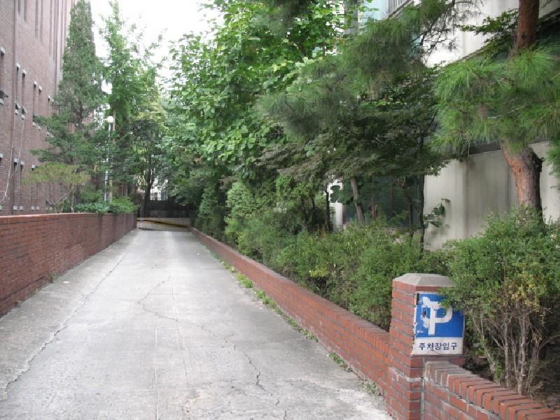 사진 341