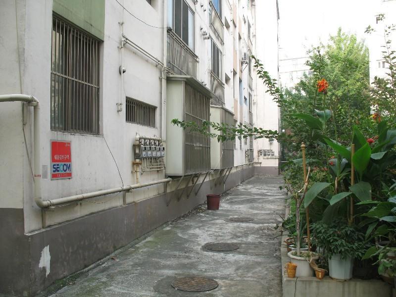 사진 110