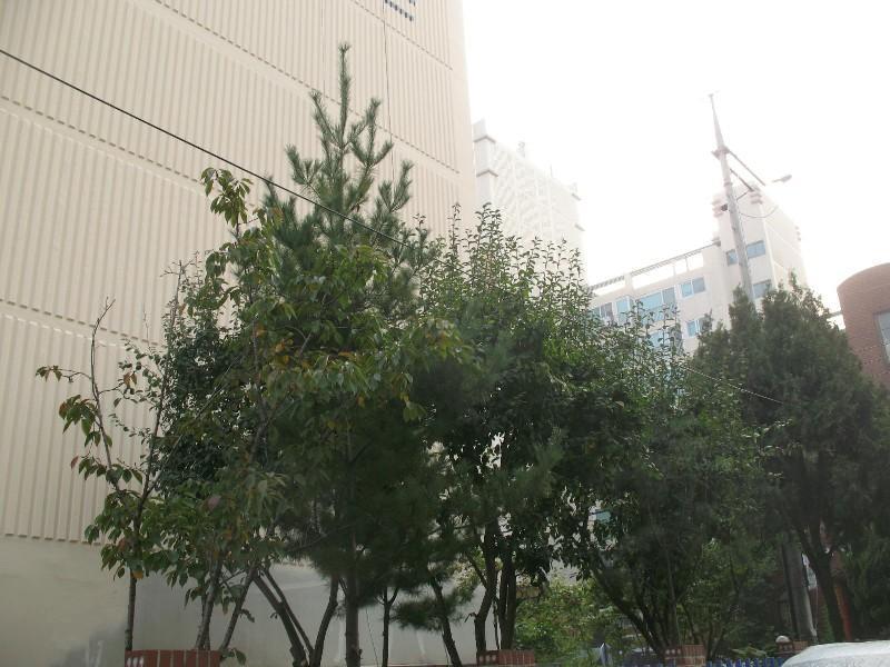 사진 820