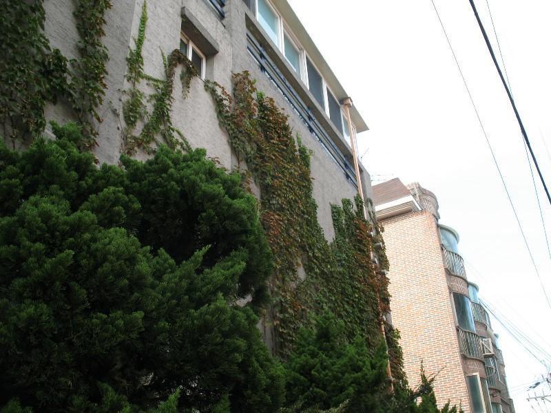 사진 188