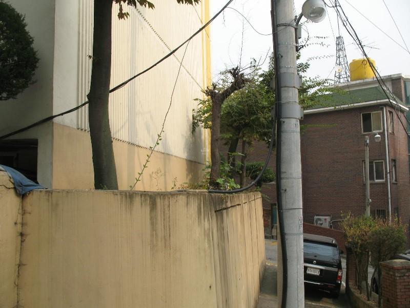 사진 036