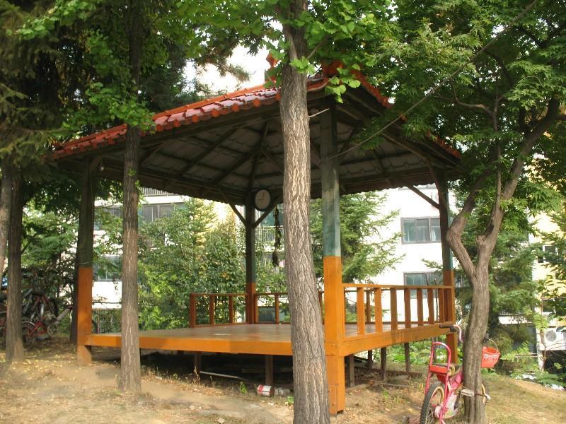 사진 041