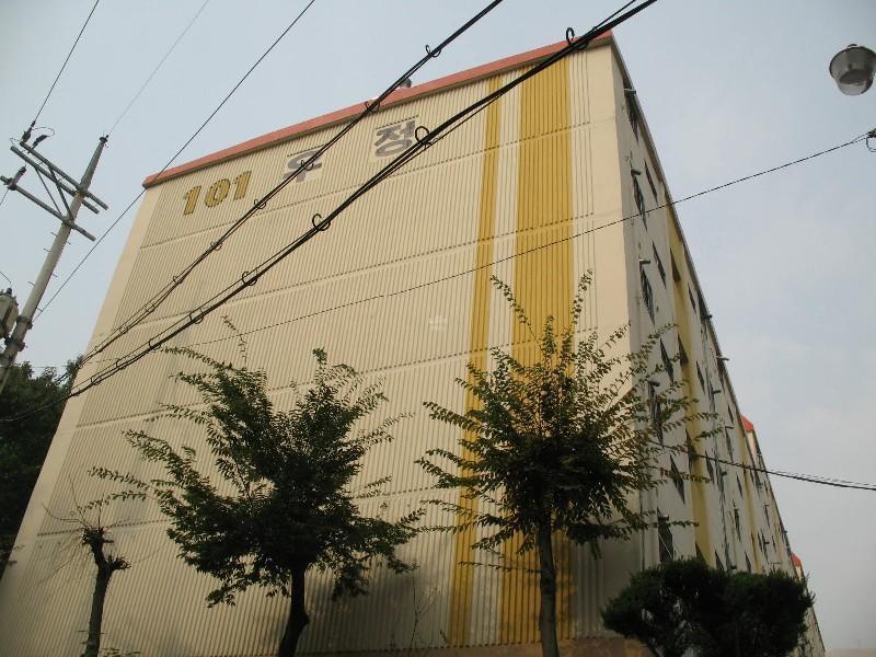 사진 031