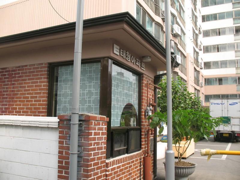 사진 256