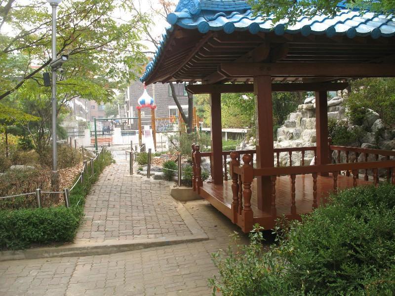 사진 251