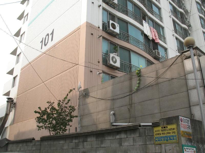 사진 252