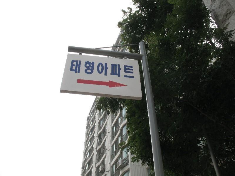 사진 244