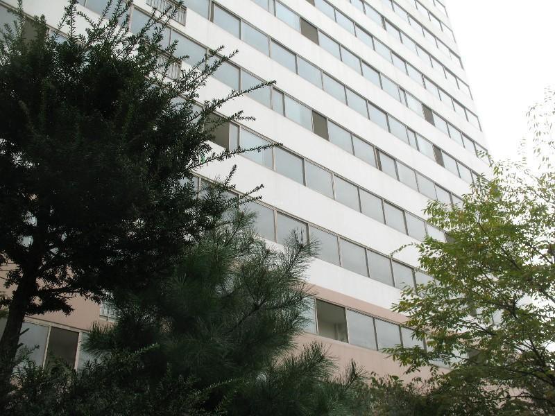 사진 250