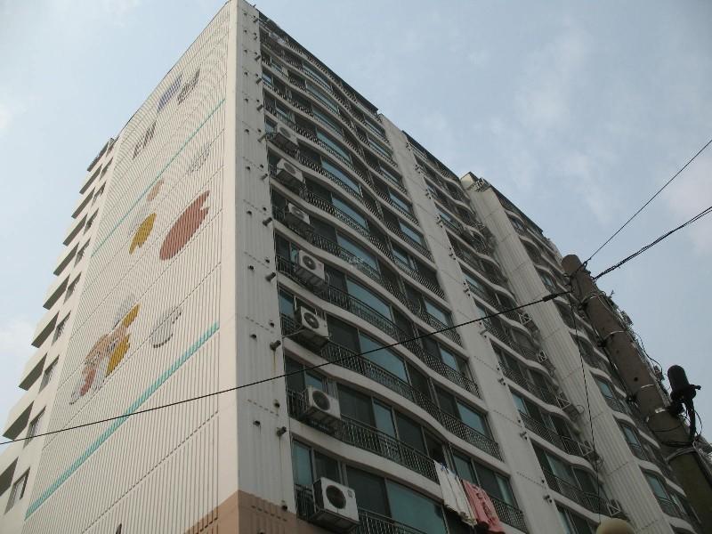사진 253