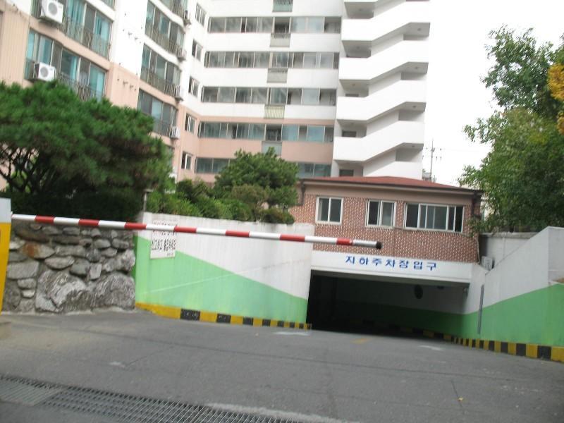 사진 254