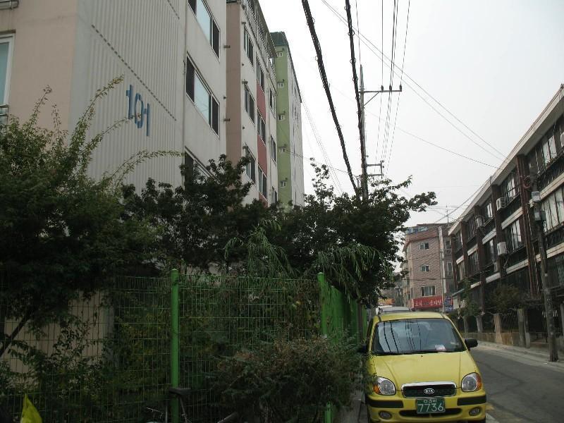 사진 223