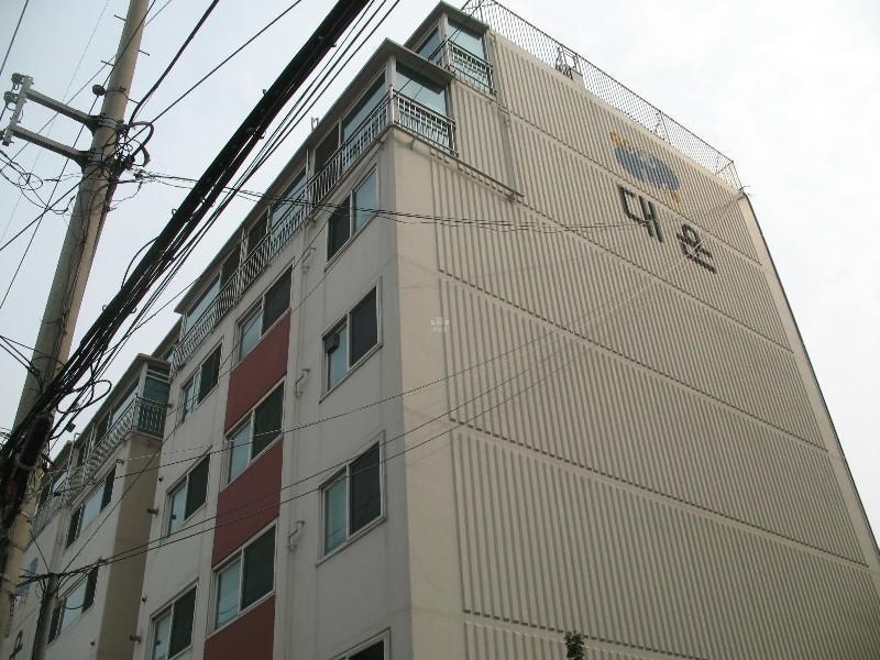 사진 231