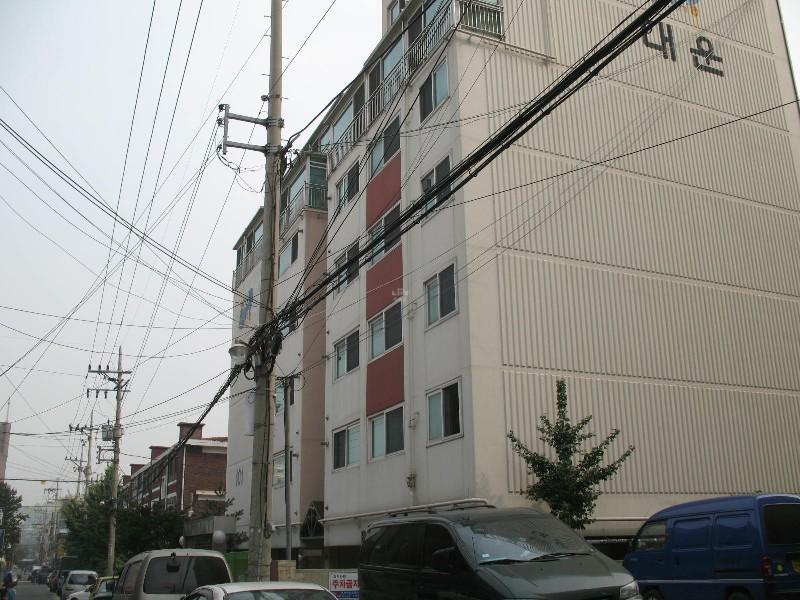 사진 232