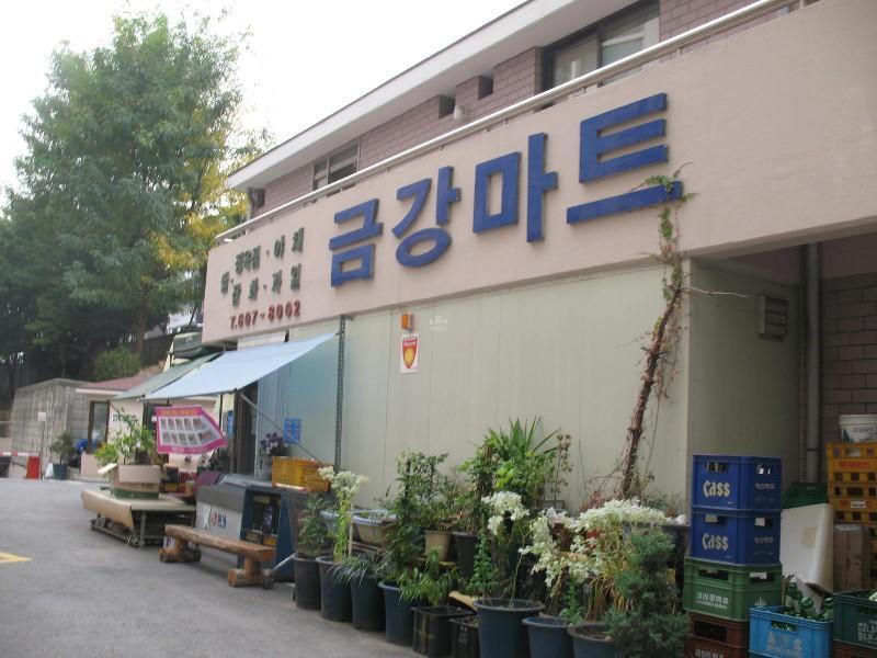 사진 510