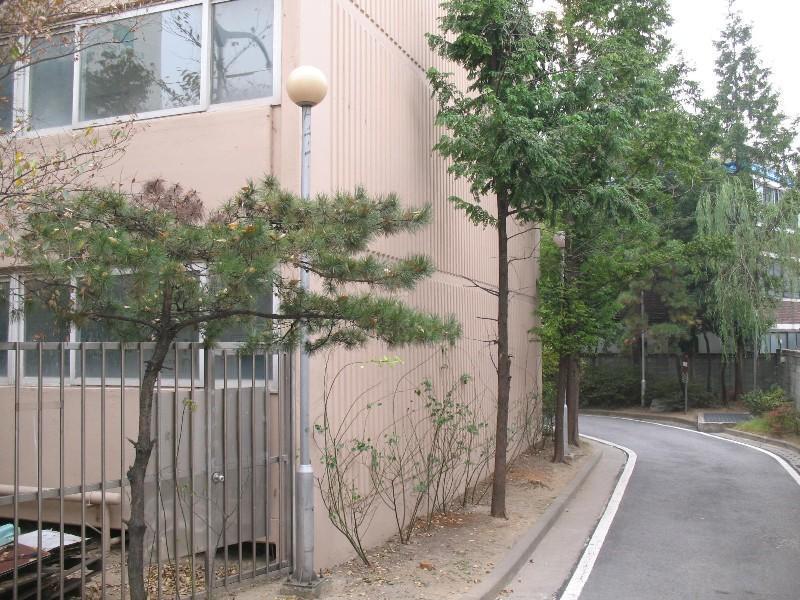 사진 505