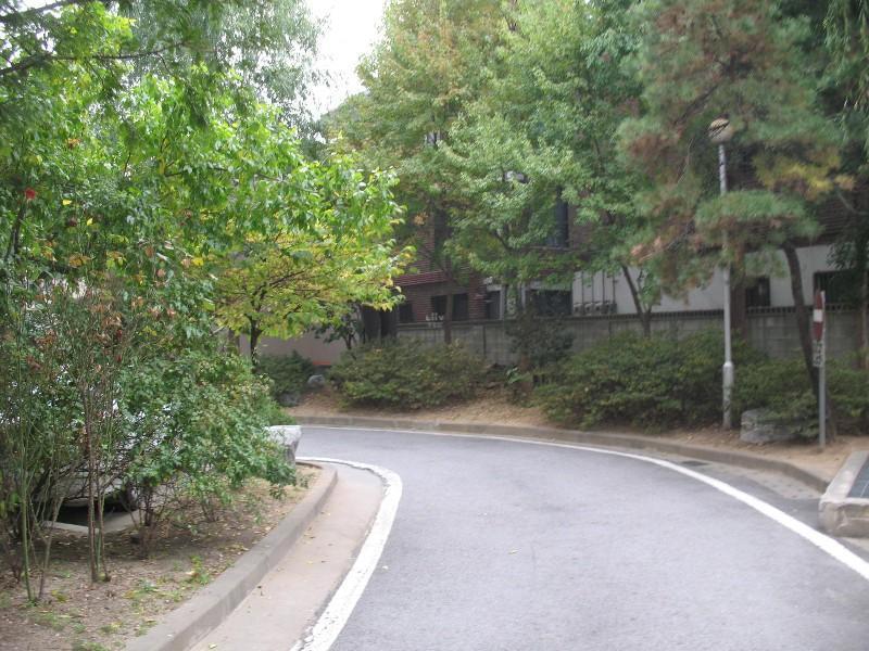 사진 507