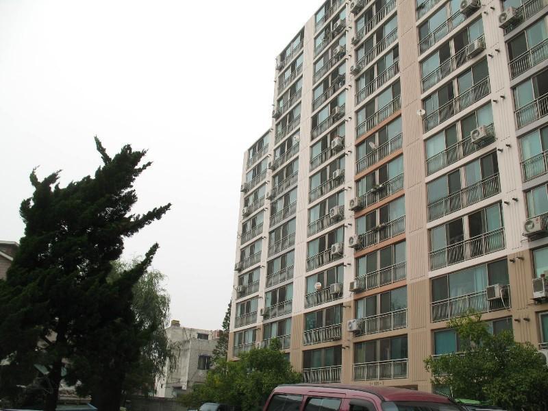 사진 515