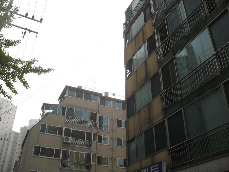 사진 511