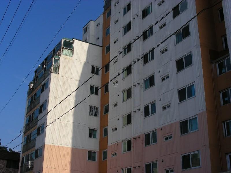 DSCN6004