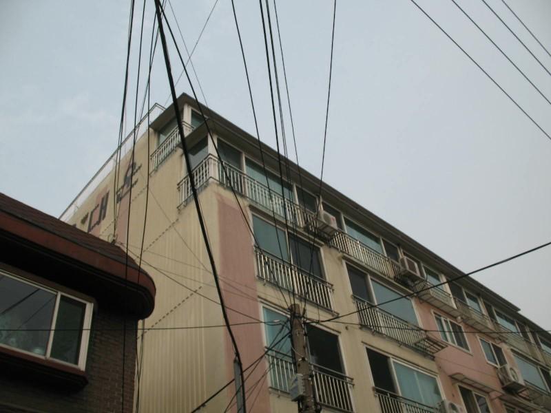 사진 331