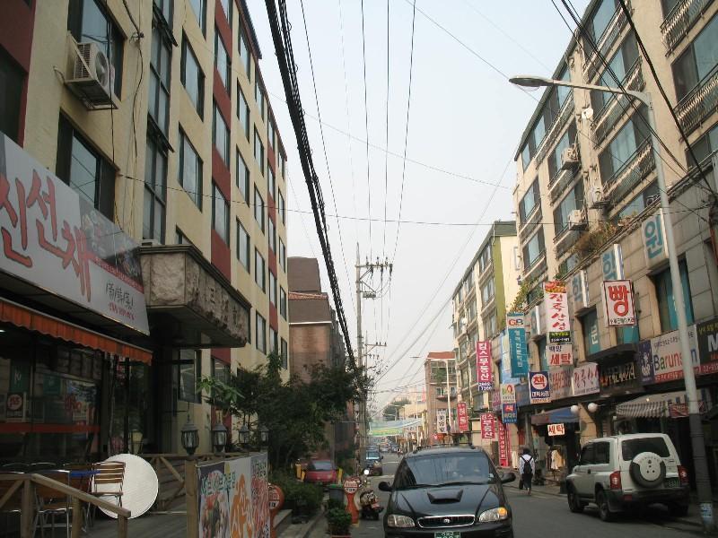 사진 481