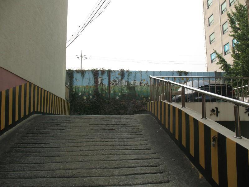 사진 488