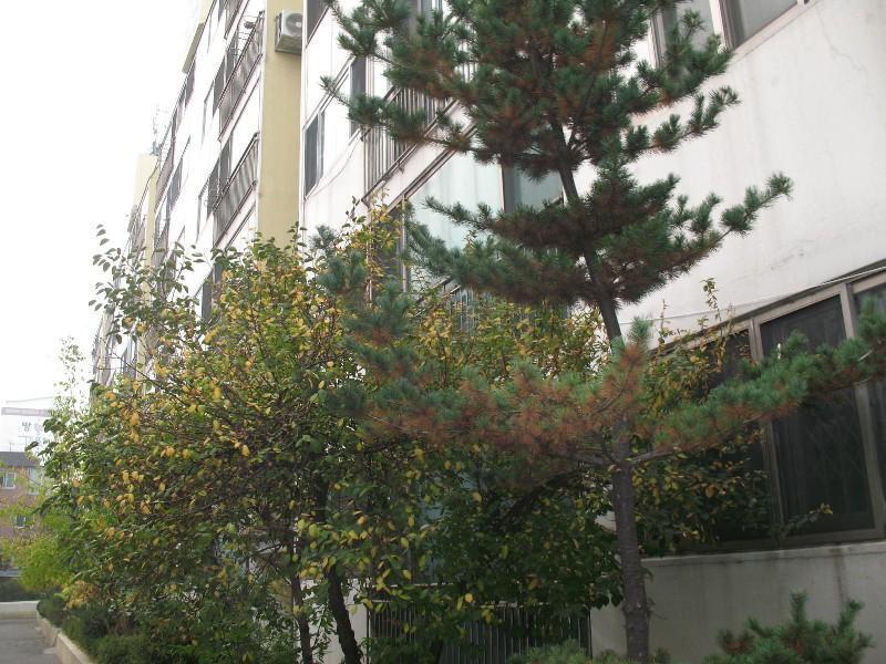 사진 881