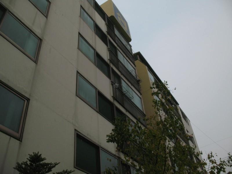 사진 888