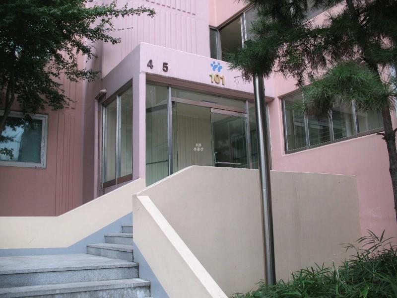 사진 991