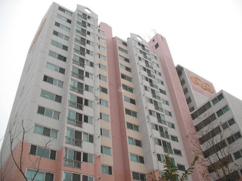 사진 987