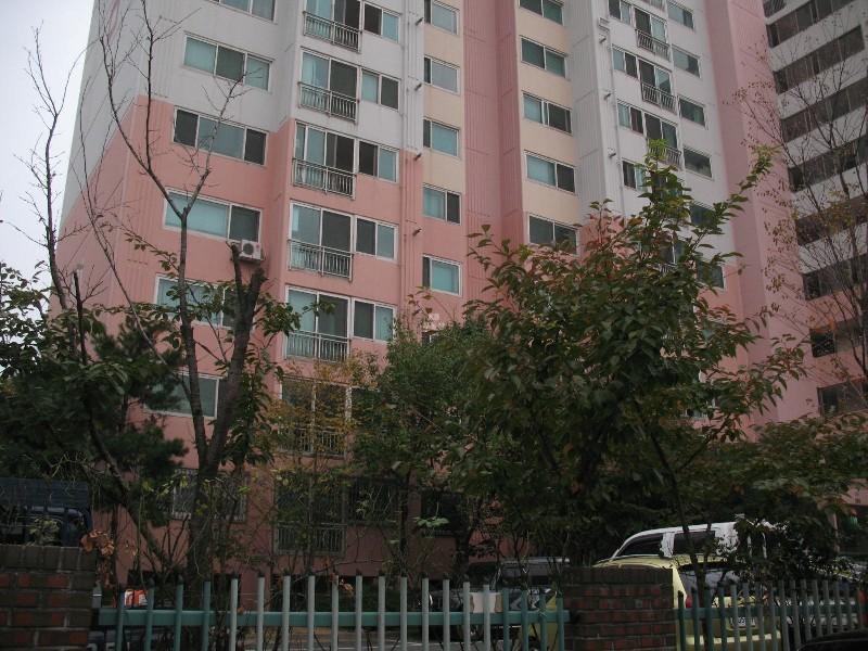 사진 988