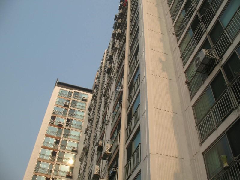 사진 082