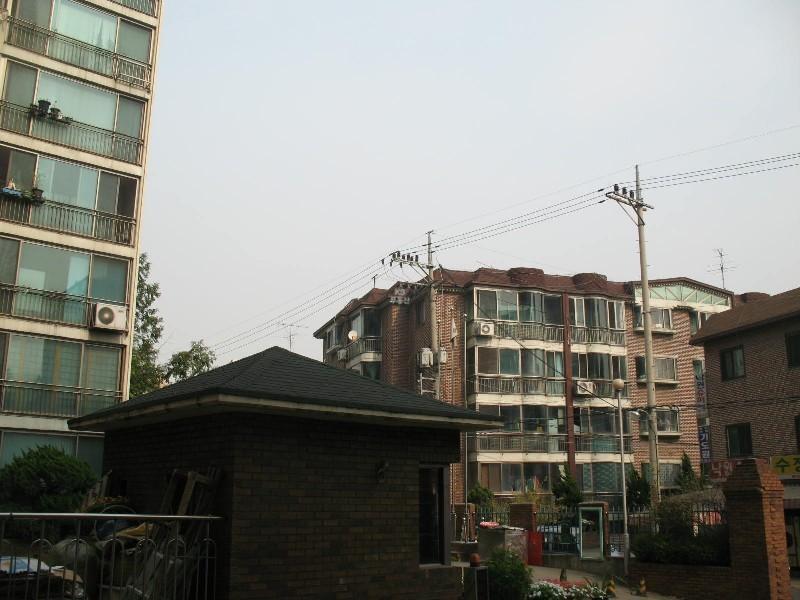 사진 114