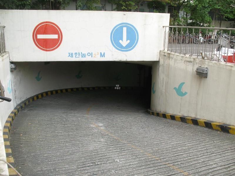 사진 113